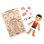 Nesta Toys Human Body | Internal Organs Wooden Puzzle | Grocsy