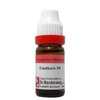 Dr. Reckeweg Cantharis Dilution | Grocsy