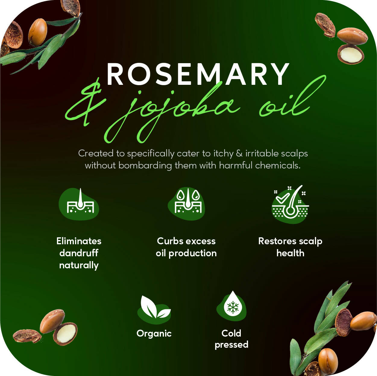 Careberry Organic Rosemary & Jojoba Anti Dandruff Hair Oil | Grocsy