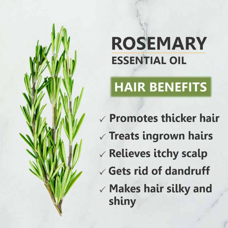Skiura Nature Rosemary Essential Oil For Hair Growth | Grocsy