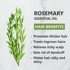Skiura Nature Rosemary Essential Oil For Hair Growth | Grocsy
