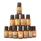 Ancient Living Aromatherapy Set Of 12 Essential Oils | Grocsy