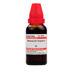 Dr. Willmar Schwabe India Hamamelis Virginica Mother Tincture Q | Grocsy