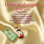 Urbaano Herbal Anti Hair fall Hibiscus Extract Rich Shampoo & Conditioner | Grocsy