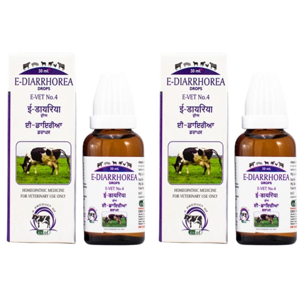 Excel Pharma E-Diarrhorea Drops | Grocsy