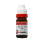 Dr. Reckeweg Mephitis Put Dilution | Grocsy