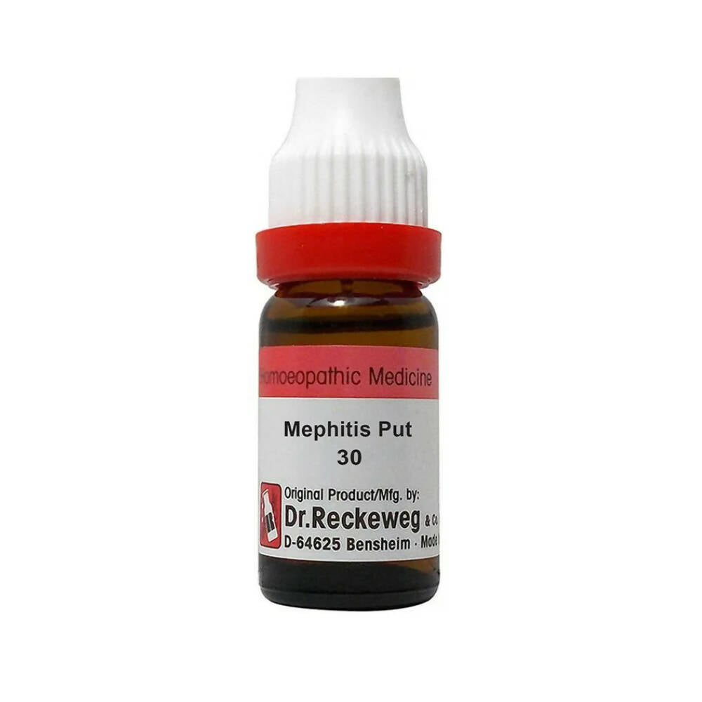 Dr. Reckeweg Mephitis Put Dilution | Grocsy