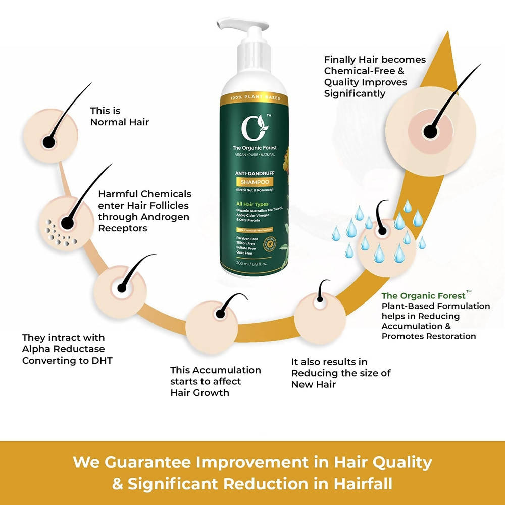 The Organic Forest Anti-Dandruff Shampoo | Grocsy