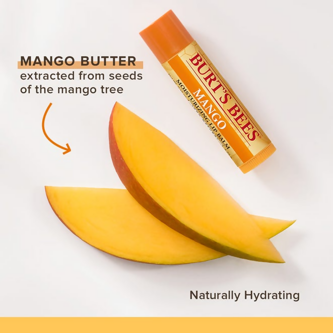 Burt's Bees Natural Moisturizing Lip Balms (Coconut & Pear and Mango) | Grocsy