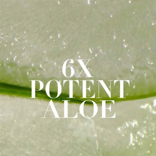 Herbal Essences Real Aloe And Eucalyptus Shampoo | Grocsy