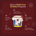 Kudej Himalayan Badri Cow A2 Ghee | Natural and Organic Ghee | Desi Cow Ghee | Grocsy