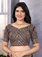 Vastranavya Wine Embroidery Work Shimmer Chiffon Saree with Unstitched Blouse | Grocsy