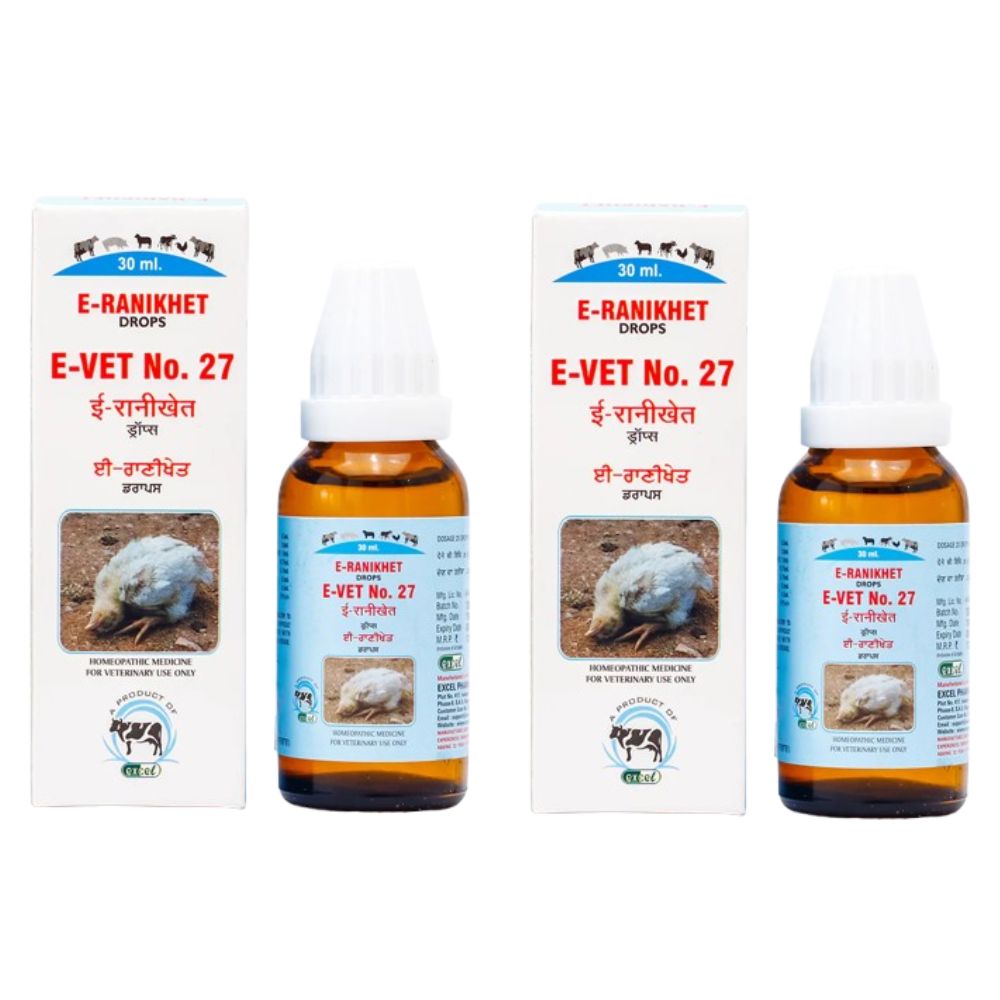 Excel Pharma E-Ranikhet Drops | Grocsy