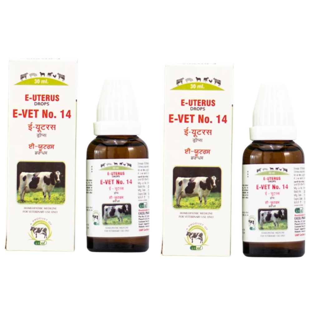 Excel Pharma E-Uterus Drops | Grocsy