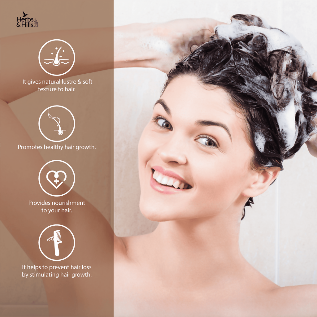 Herbs & Hills Overnight Hair Repair Tonic | Grocsy