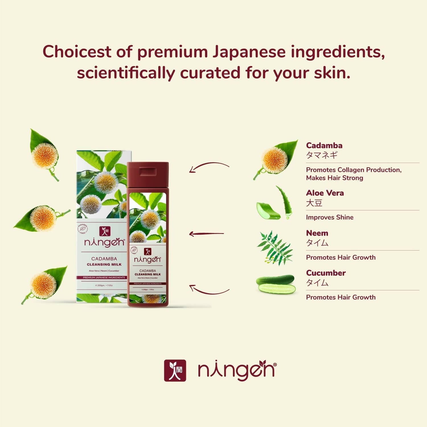 Ningen Cadamba Cleansing Milk Cream | Grocsy