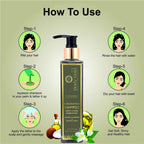 Body Gold Shampoo Clams Unruly Tangled Hair With Jojoba Rosemary & Coconut Milk | Grocsy
