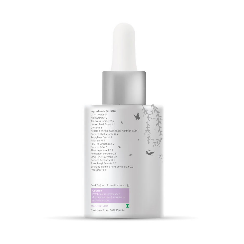 The Body Temple 5% Niacinamide Face Serum | Grocsy