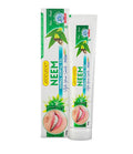 Looloo Neem Herbal Dental Gel | Grocsy