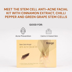 Raaga Professional Stem Cells Infused Anti Acne Facial Kit | Grocsy