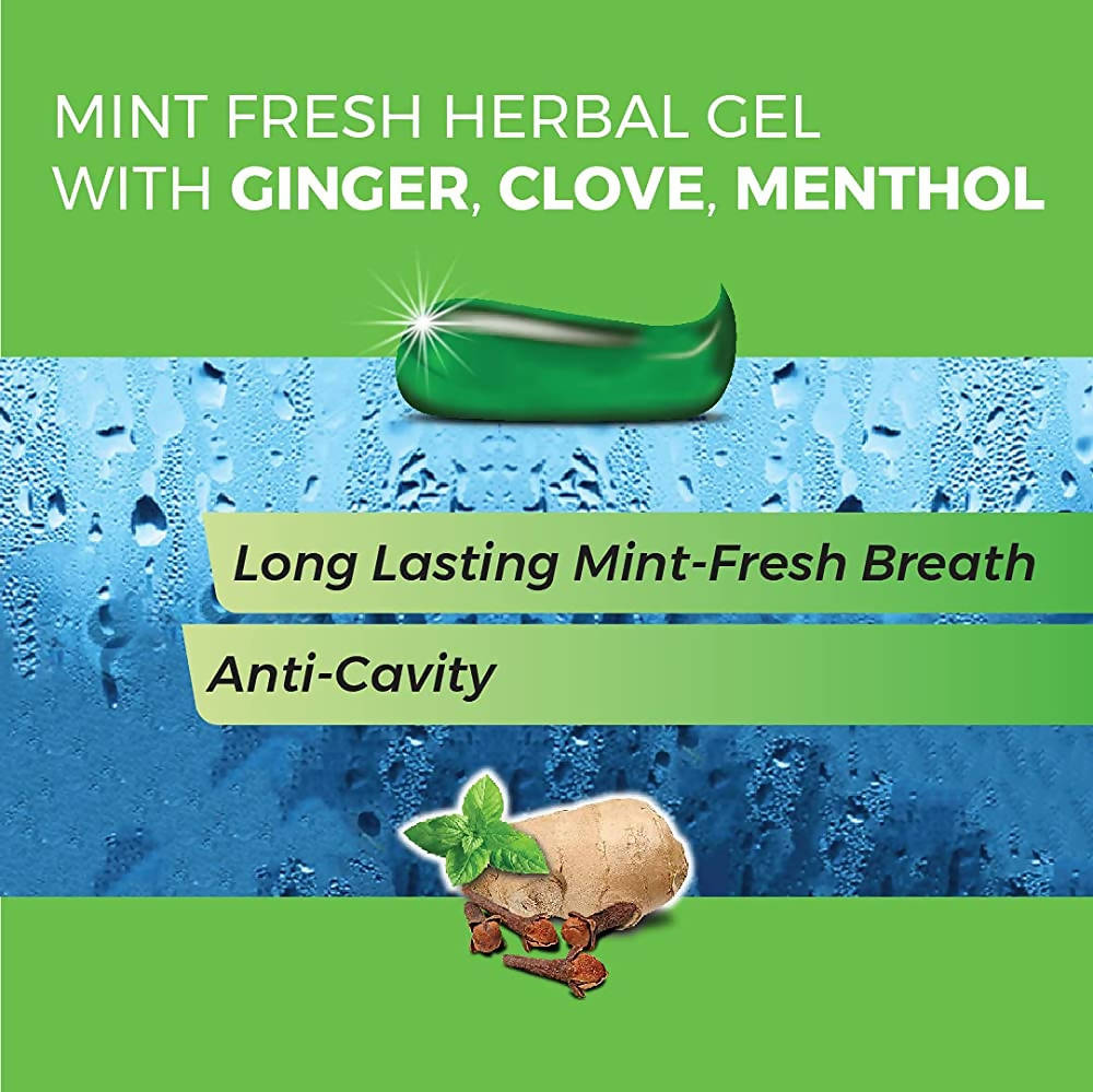 Kp Namboodiri's Herbal Gel Toothpaste | Grocsy