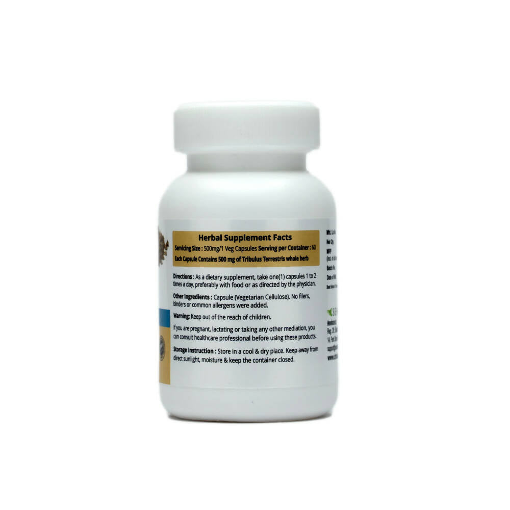Dr. Talat's Kharekhask Capsules | Grocsy