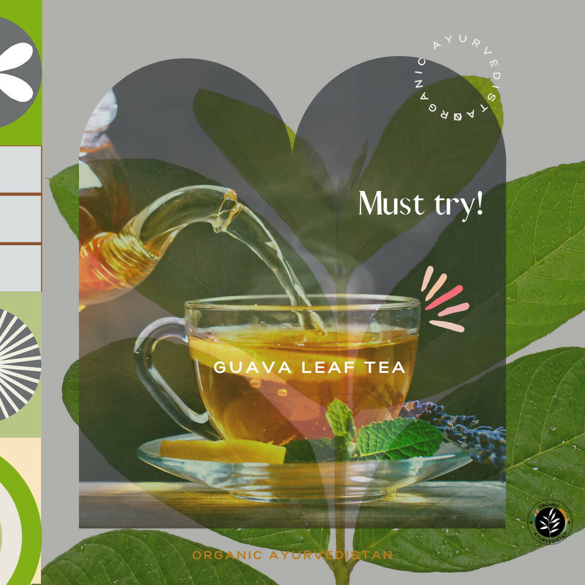 Organic AyurveGrocsyn Guava Leaves Powder | Grocsy
