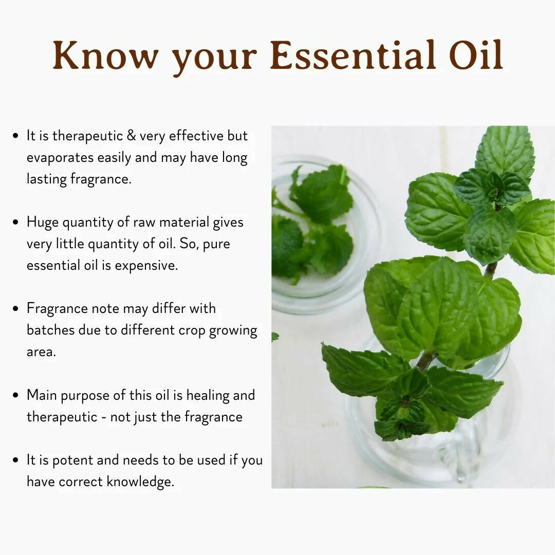 Mitti Se Peppermint Essential Oil | Grocsy