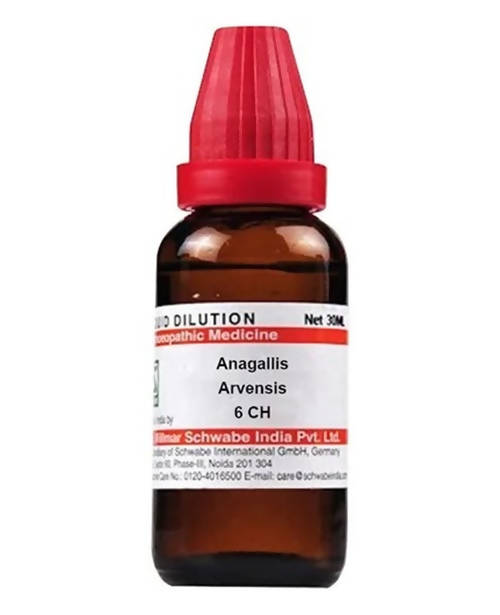 Dr. Willmar Schwabe India Anagallis Arvensis Dilution | Grocsy