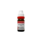 Dr. Reckeweg Latrodectus Mactans Dilution | Grocsy