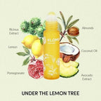 Klome Essentials Under The Lemon Tree Lip Oil | Grocsy