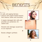 Rajasthan Herbals Fair & Flora Soundarya Face Cream | Grocsy