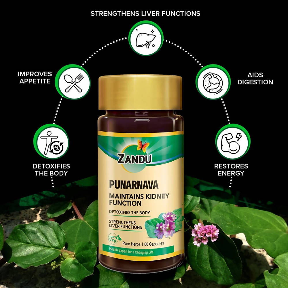 Zandu Punarnava Capsules | Grocsy