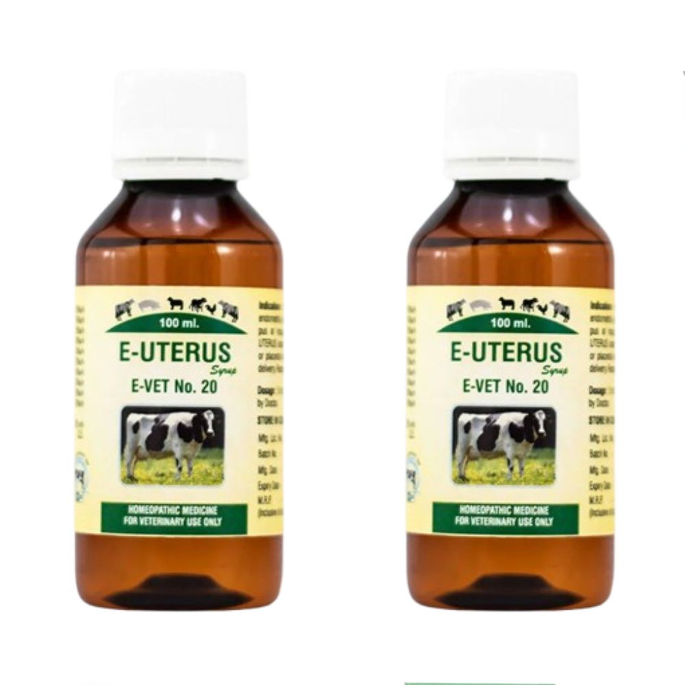 Excel Pharma E-Uterus Syrup | Grocsy