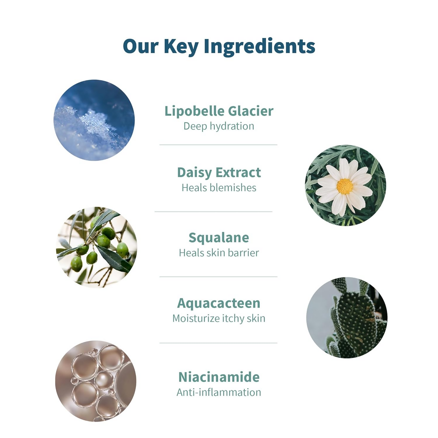 Meola Swiss Glacier Face Serum | Grocsy
