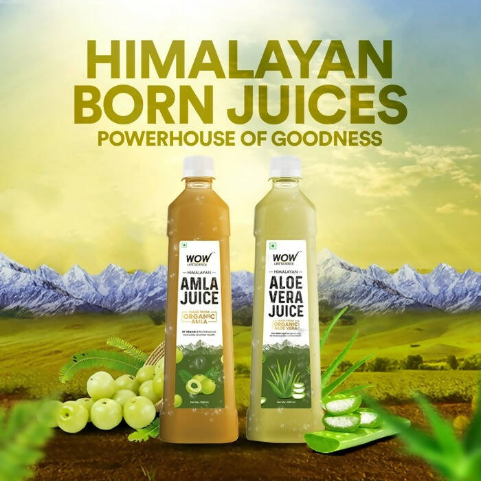 Wow Life Science Himalayan Amla Juice | Grocsy