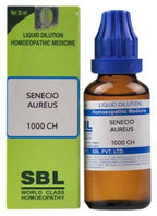 SBL Homeopathy Senecio Aureus Dilution | Grocsy