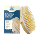 Bloom by Bold Care Exfoliating Oval Dry Bath Brush | Grocsy
