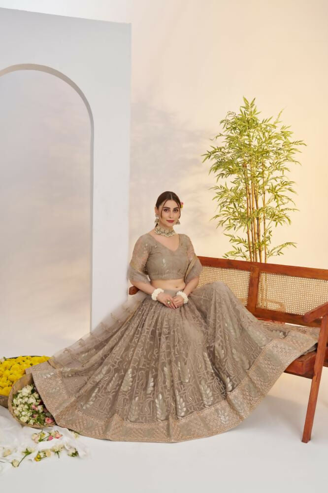 Aastha Fashion Metallic Gray Butterfly Net Tone To Tone Cotton Thread Work And Sequence Work Embroidery Wedding Wear Lehenga Choli | Grocsy