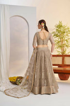 Aastha Fashion Metallic Gray Butterfly Net Tone To Tone Cotton Thread Work And Sequence Work Embroidery Wedding Wear Lehenga Choli | Grocsy