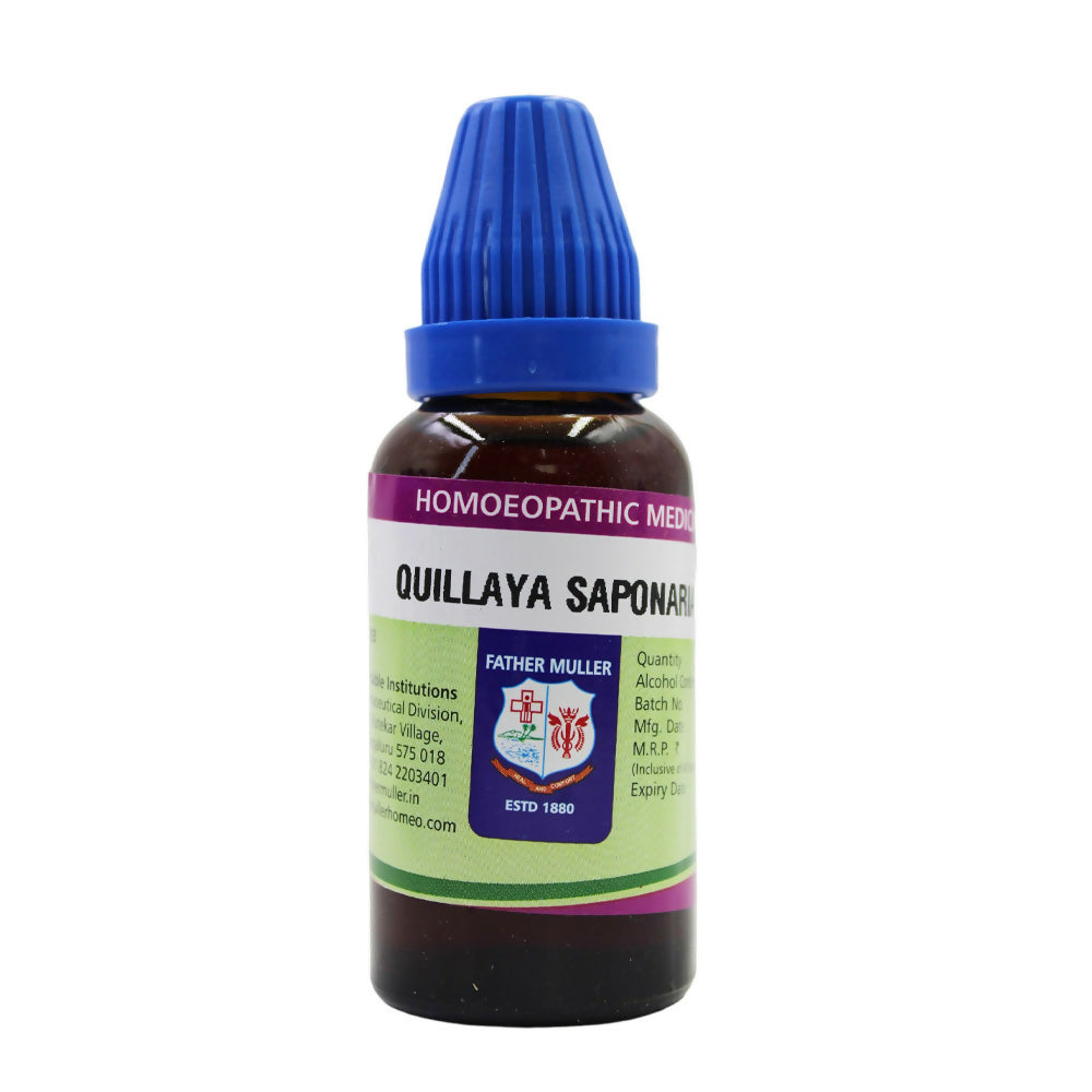 Father Muller Quillaya Saponaria Mother Tincture Q | Grocsy