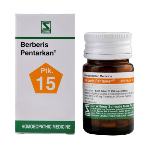 Dr. Willmar Schwabe India Berberis Pentarkan Tablets | Grocsy