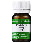 Dr. Reckeweg Phytolacca Berry Tablets | Grocsy