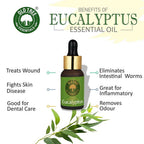 Old Tree 100% Pure Eucalyptus Essential Oil | Grocsy