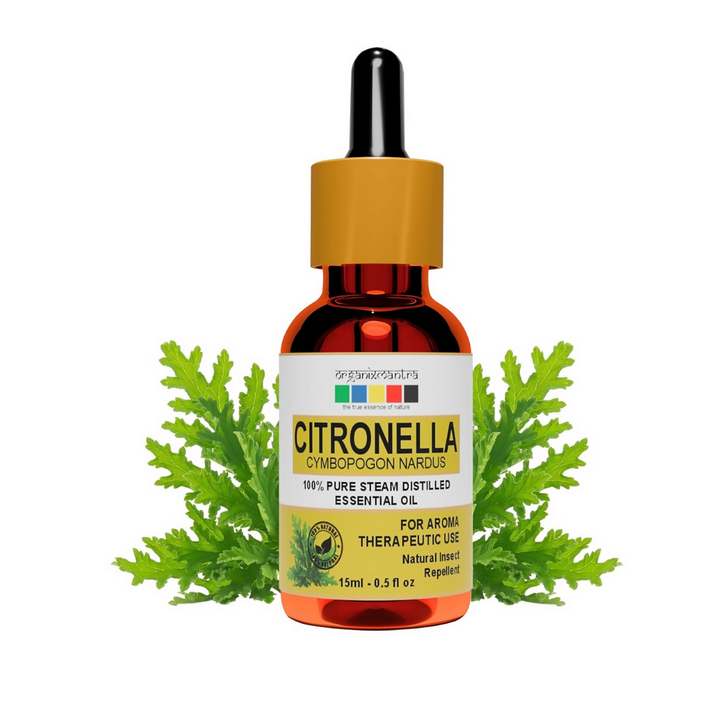 Organix Mantra Citronella Oil - 100% Natural Citronella Essential Oil | Grocsy