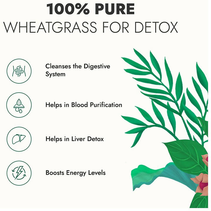 Kapiva Ayurveda Wheat Grass Juice | Grocsy