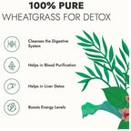 Kapiva Ayurveda Wheat Grass Juice | Grocsy