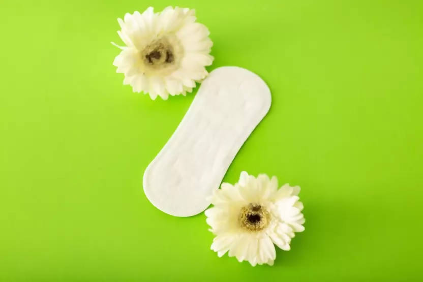 Saathi Bamboo Fiber Sanitary Napkins Panty Liner Pack | Grocsy
