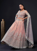 Lehenga Mart Designer Wedding Lehenga Choli For Women - Light Pink | Grocsy