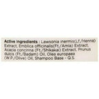 Baidyanath Jhansi Ayurvedant Damage Repair Herbal Shampoo - Henna & Olive | Grocsy